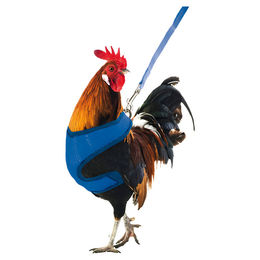 Produktbild von Gaun Geflügelzubehör Hühnergeschirr