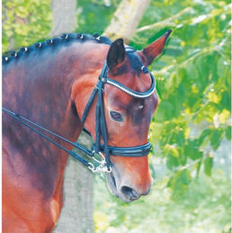 Produktbild von Gebisslose Trensen T de T Cezanne