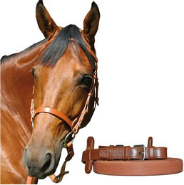 Produktbild von Gebissloser Zaum Chetak