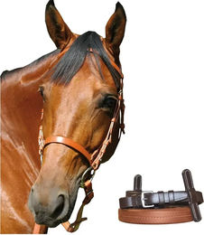 Produktbild von Gebissloser Zaum Chetak