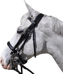 Produktbild von Gebissloser Zaum Flags&Cup Hagen