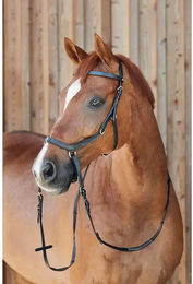 Produktbild von Gebissloser Zaum Horze Orlando