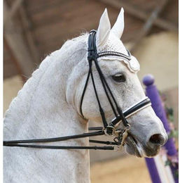 Produktbild von Gebissloser Zaum T de T Ribera