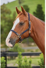Produktbild von Geflochtene Lederhalfter für Pferde Kincade Kincade