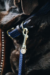 Geflochtene Nylon-Hundeleine Kentucky 120 cm - 120 cm – Bild 1 von 3