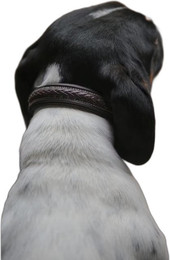Produktbild von Geflochtenes Hundehalsband Dy'on