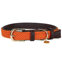 Geflochtenes Nylon-Halsband für Hunde Kentucky – Bild 1 von 3
