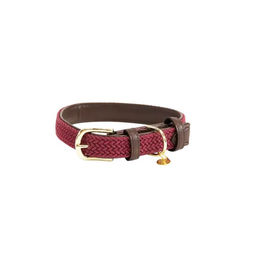 Geflochtenes Nylon-Hundehalsband Kentucky Bordeaux Größe M 50cm - 50 cm – Bild 1 von 9