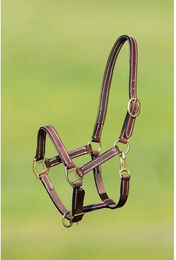 Produktbild von Gefüttertes Lederhalfter für Pferde HFI