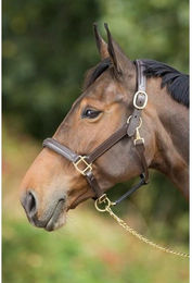 Produktbild von Gefüttertes Lederhalfter für Pferde HFI Raised
