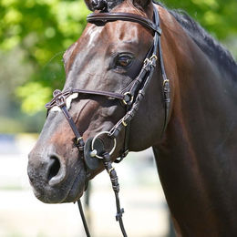 Produktbild von Gekreuztes Kopfteil Lack + Lammfell Tattini