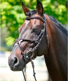 Produktbild von Gekreuztes Kopfteil Lack + Lammfell Tattini