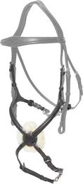 Produktbild von Gekreuztes Reithalfter für Pferde Dy'on NE coll