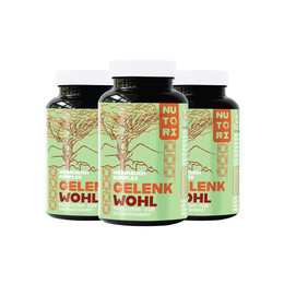 Produktbild von Gelenk Wohl + Abwehr Hilfe mit Vitamin C und Zink - 270 Stk.