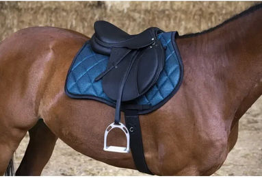 Produktbild von Gemischter genarbter Reitsattel Eric Thomas Élite