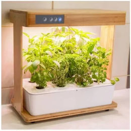 Gemüsegarten Bioponis – Bild 1 von 9