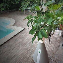 Produktbild von Gemüsegarten mit hydroponischem Anbausystem 18 Kulturen Home Potager