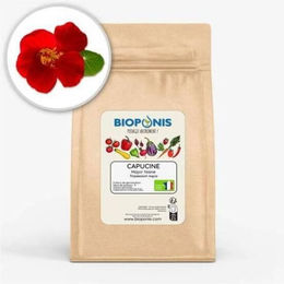 Produktbild von Gemüsegartennährstoff Bioponis Capucine Major Naine (x5)
