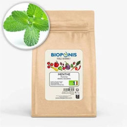 Produktbild von Gemüsegartennährstoff Bioponis Menthe Pomme (x5)