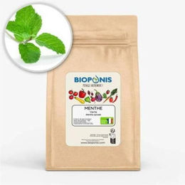 Produktbild von Gemüsegartennährstoff Bioponis Menthe Verte (x5)