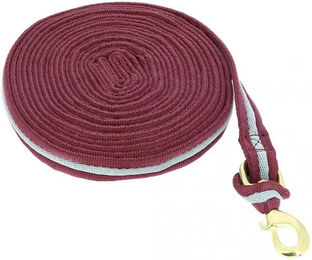 Produktbild von Gepolsterte Longierleine für Pferde Norton - 8 m