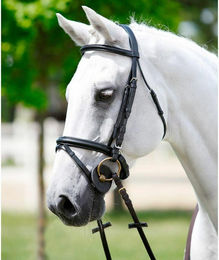 Gepolsterte Stirn-Kopfstütze-Klick Tattini – Bild 1 von 2