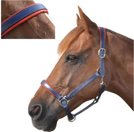 Produktbild von Gepolstertes Halfter aus Leder Canter