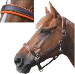 Produktbild von Gepolstertes Halfter aus Leder Canter