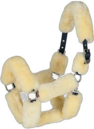 Produktbild von Gepolstertes Halfter B Vertigo Alaska