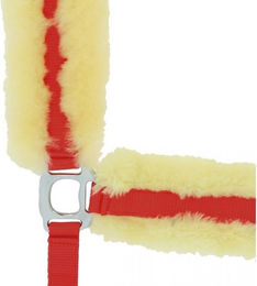 Gepolstertes Halfter Equithème – Bild 1 von 7