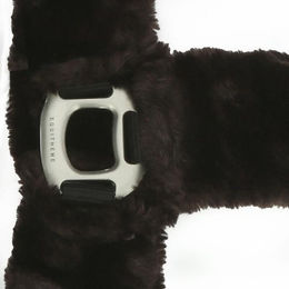 Produktbild von Gepolstertes Halfter Equithème Teddy