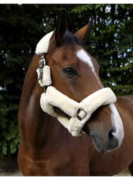 Gepolstertes Halfter Equithème Teddy – Bild 1 von 4