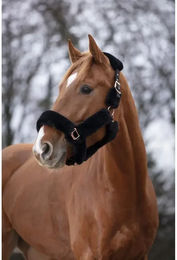 Produktbild von Gepolstertes Halfter Equithème Teddy Rose Gold