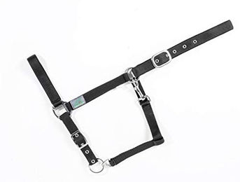 Produktbild von Gepolstertes Halfter für Pferde USG Basic