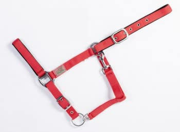 Gepolstertes Halfter für Pferde USG Basic – Bild 1 von 2