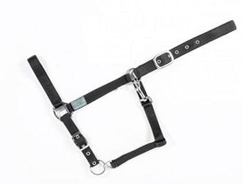 Gepolstertes Halfter für Pferde USG Basic – Bild 1 von 2