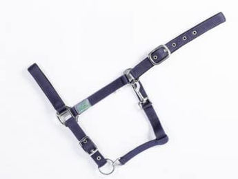 Gepolstertes Halfter für Pferde USG Basic – Bild 1 von 2