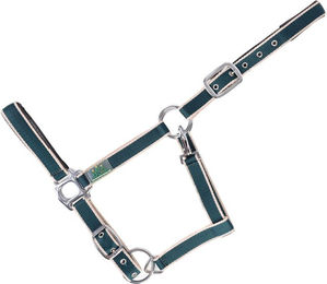 Produktbild von Gepolstertes Halfter für Pferde USG Everyday