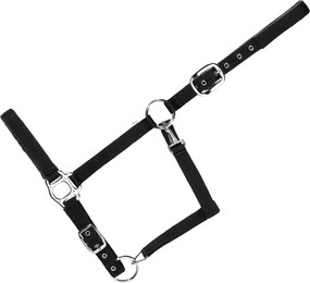 Produktbild von Gepolstertes Halfter für Pferde USG Everyday