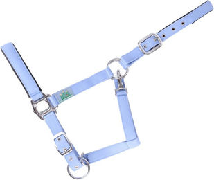 Produktbild von Gepolstertes Halfter für Pferde USG Everyday