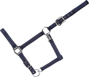 Produktbild von Gepolstertes Halfter für Pferde USG Everyday