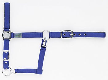 Gepolstertes Halfter für Pferde USG Everyday – Bild 1 von 5