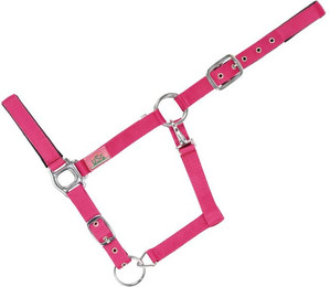 Produktbild von Gepolstertes Halfter für Pferde USG Everyday