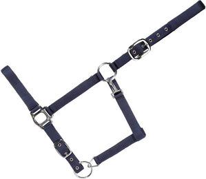 Produktbild von Gepolstertes Halfter für Pferde USG Everyday