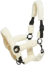 Produktbild von Gepolstertes Halfter HorseGuard Clint