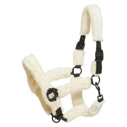 Produktbild von Gepolstertes Halfter HorseGuard Clint