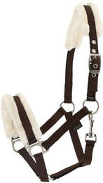 Produktbild von Gepolstertes Halfter HorseGuard Soft