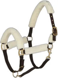 Produktbild von Gepolstertes Halfter Horze Lincoln