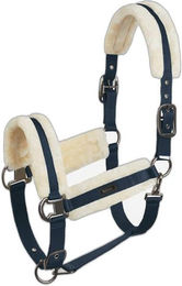 Gepolstertes Halfter Horze Marquess – Bild 1 von 4