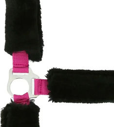 Produktbild von Gepolstertes Halfter Norton